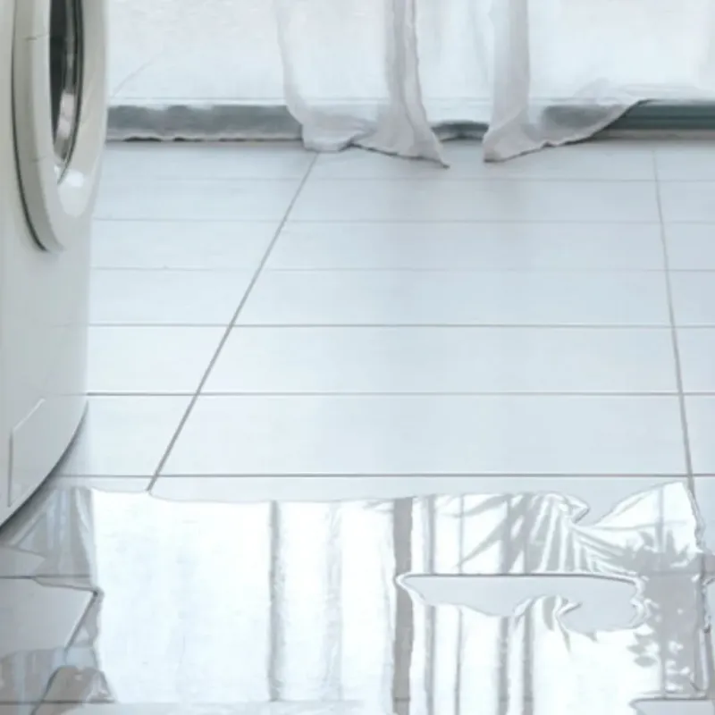 Appliance Leak Cleanup in Johnson County, KY