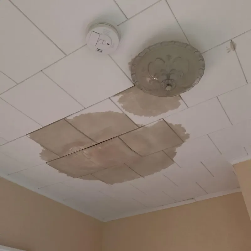 Ceiling Water Damage Repair in Johnson County, KY