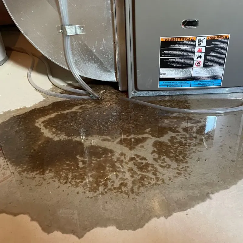 Pipe Burst and Leak Restoration in Johnson County, KY