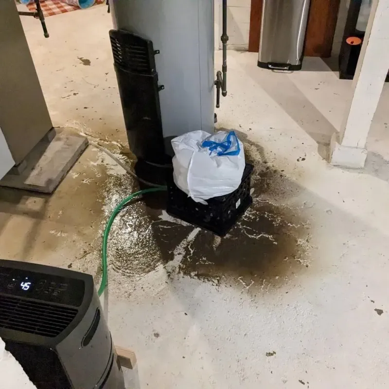 Sewage Backup Cleanup Service in Johnson County, KY